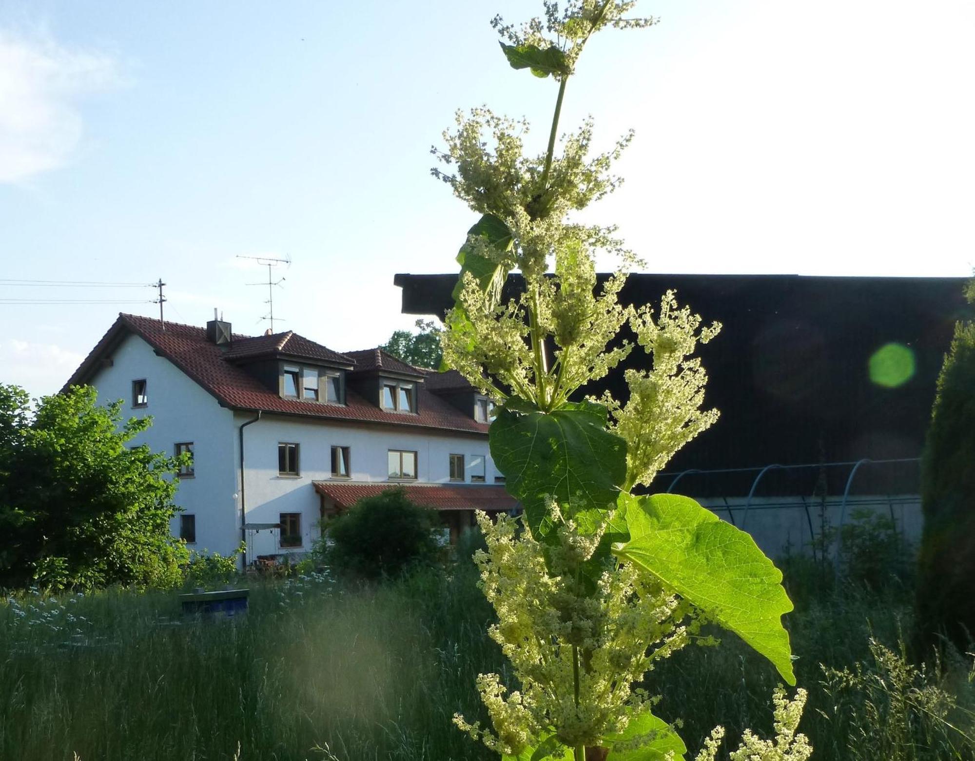 Moorwiesenhof Ostrach Екстериор снимка